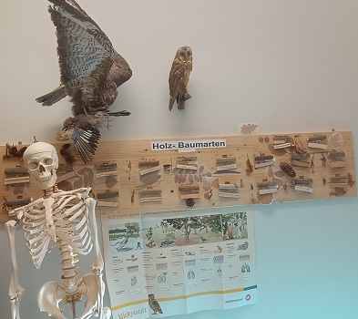 tl_files/Fotos Haus A 2026/Bio Raum Vorbereitung.jpg